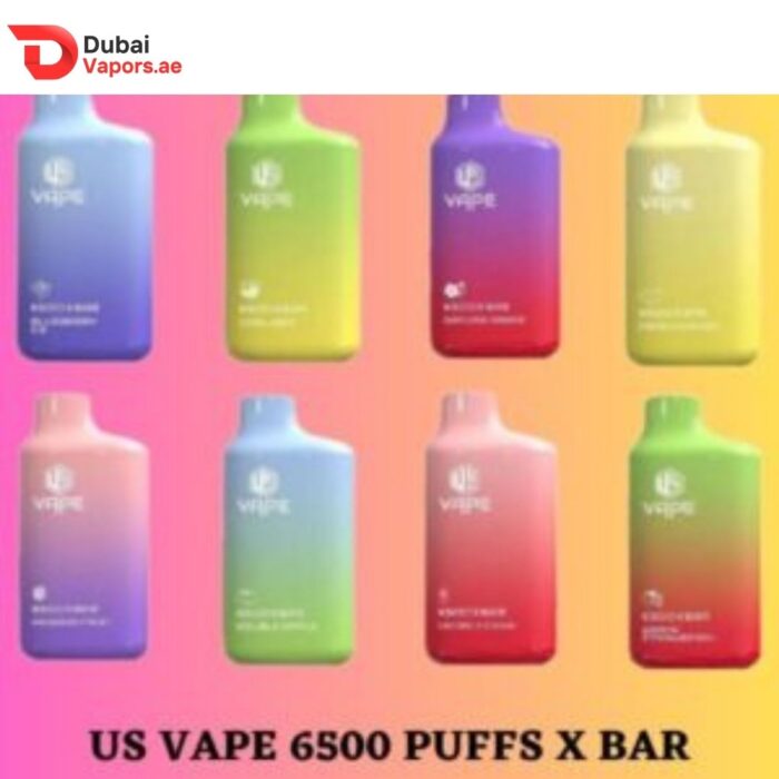 Us 6500 Puffs Disposable Vape